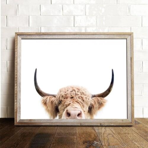 Highland Cow Photography Canvas Painting Wall Picture Farm Animal Cattle Canvas Art Prints And Poster Home Room Decor
