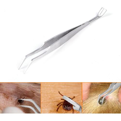 10Pcs/lot Color Kraft Paper Bag With Handles Festival Gift Bag Shopping Bags