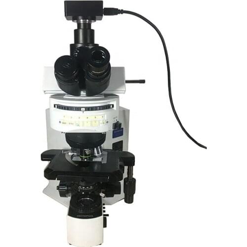 Sony CMOS Sensor No Image Delay Fast Speed Global Shutter Camera for Industrial Microscope