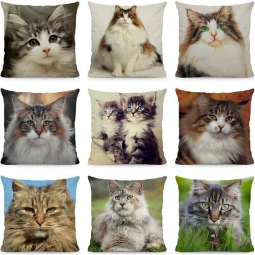 XUNYU Cute Norwegian Forest Cat Cushion Cover Animal Print Throw Pillow Case 45x45cm DWM008