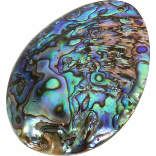 Seashell Abalone Shell Pendant Smudging Beach House Decor Natural Rainbow Gifts