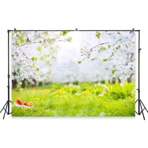 HUAYI Photography Background Easter Day Holiday Party Celebration Photo Backdrops Spring Easter Eggs Baby Shower BackdropXT-6600