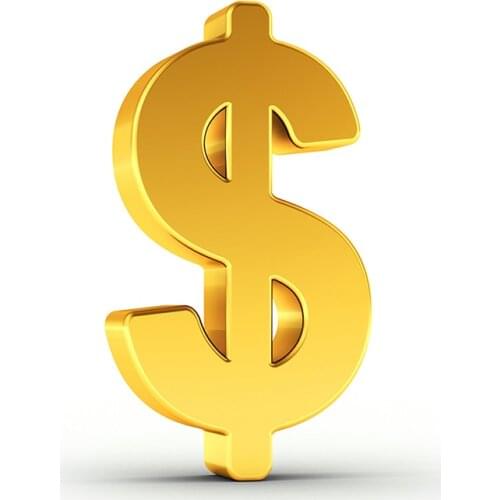 Repay--Extra Payment