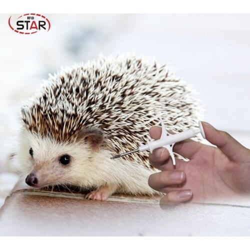 10pcs/lot) 2.12*12 mm 134.2KHz Rfid Glass chip for animal Identification pet Microchip plastic injection syringe Cow Pig Horse