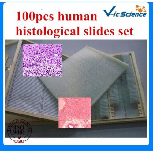 100pcs histological human slides set