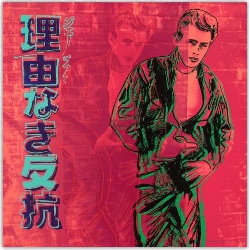 Andy Warhol Canvas Oil Painting"Rebel Without A Cause"Wall Aesthetic Backdrop Modern Artwork Poster Home Interior Decoration