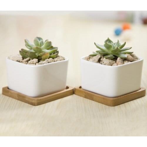 2 Sets Square White Ceramic Succulent Planter Zakka Style Succulents Pots Desktop Flower Pot Home Decoration (2 Pots + 2 Trays)