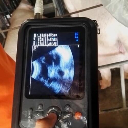 Mini Ultrasound Vet Ultrasound Machine