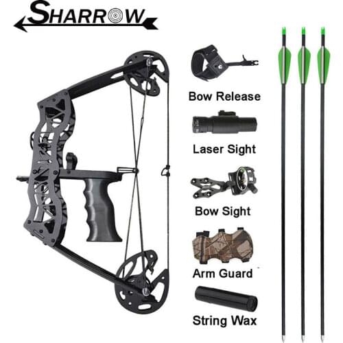 16inch Archery Mini Compound Bow And Arrow Set 35lbs 23inch Aluminum Arrow Bowfishing Right Left Hand Hunting Accessories