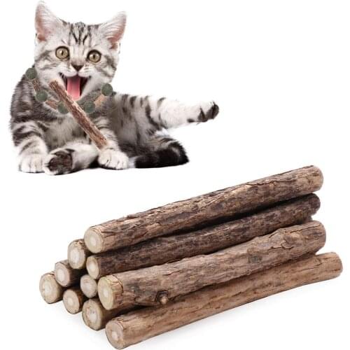 Organic catnip chew sticks cat molars can be used to clean and care for cats teeth and prevent bad breath cat snacks