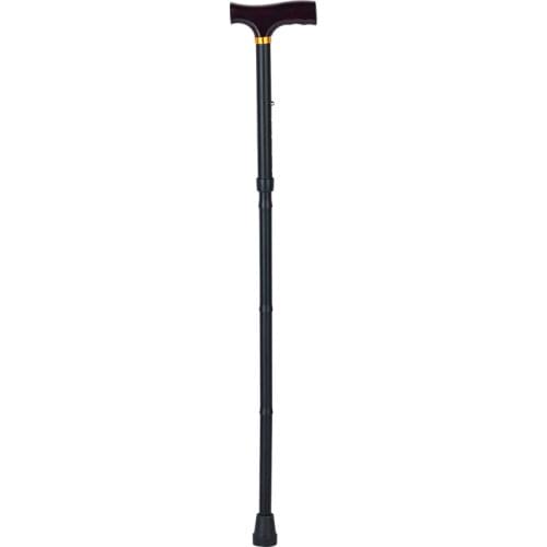 HEPO Folding Walking Sticks