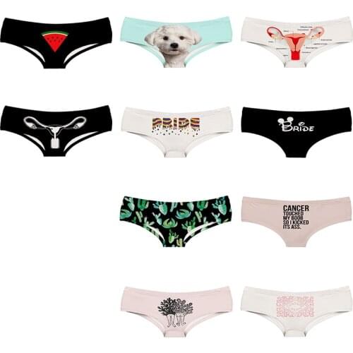 Uterus Anatomy Picture Printed Women Panties Cartoon Pokemon Bulbasaur Charzard colour Girl Briefs 3D White Dog Underwear