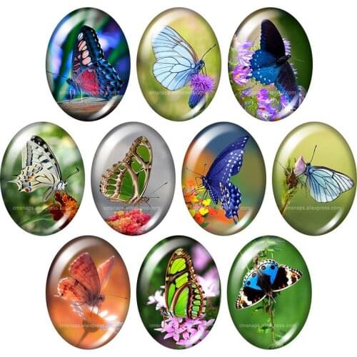 Beauty Fashion Butterfly 13x18mm/18x25mm/30x40mm mixed Oval photo glass cabochon demo flat back Jewelry findings TB0129