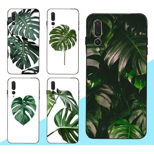Green Monstera Leaf Case for Huawei Honor 20 9 10 Lite 10i 7A Pro 7C 8A 8C 8S 8X 9X Y7 Y9 Y6 2019 Nova 5T