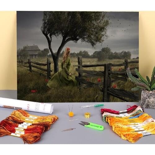 Woman Girl Printed Water-Soluble Canvas 11CT Cross-Stitch Embroidery Full Kit DMC Threads Handiwork Hobby Handicraft Package