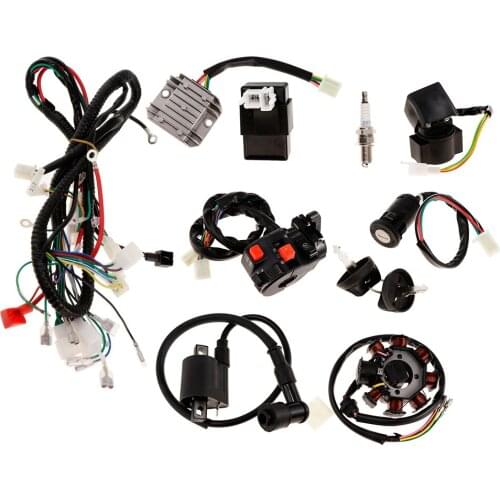 Electric Wiring Harness Wire Loom CDI Stator Assembly Kit For 150/250cc ATV
