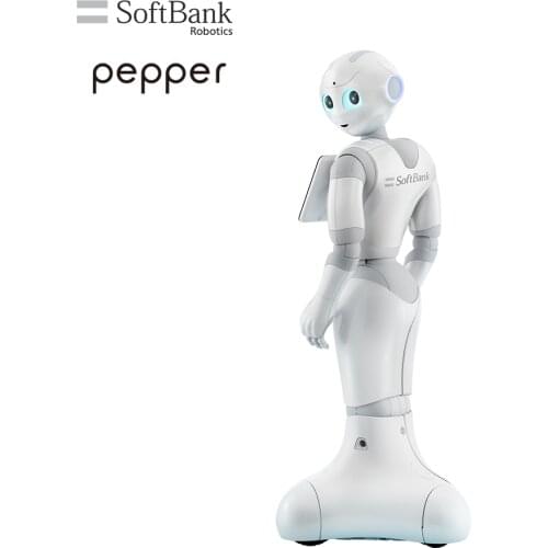SoftBank Robotics Accessories For Tools