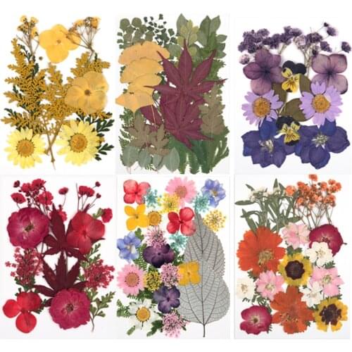 1 Pack Dried Flower Pressed Resin Filling DIY Cryst Epoxy Resin Mold Natural Plants Jewelry Making Accessories Handmade Crafts