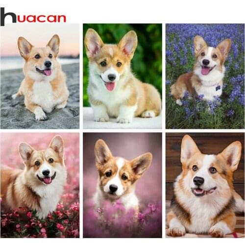 Huacan Full Square Diamond Painting Dog Corgi Cross Stitch Embroidery Animal Diamond Art Home Decor