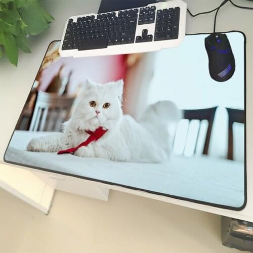 XGZ Animal Large Size Mouse Pad Lock Cute White Persian Cat Photo Laptop Black PC Table Mat Rubber Universal Non-slip