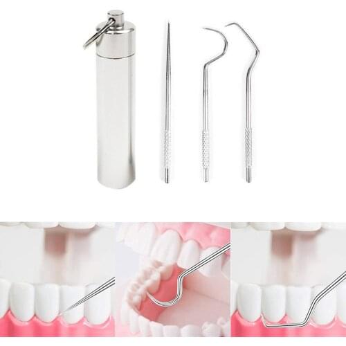 Portable Multifunctional Toothpick Toothpicks Metal Flossing Tool Set Oral Teeth Cleaning Fruit Fork Camping Accessories Tools