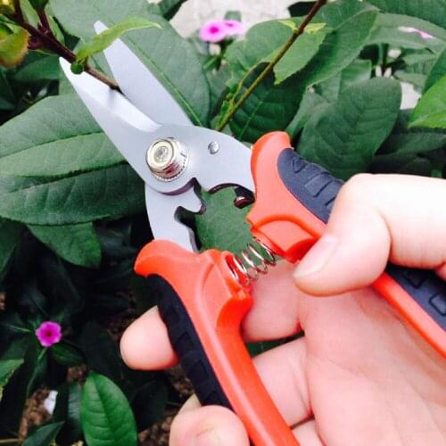 Garden Pruning Shears Fruit Picking Scissors Stainless Steel Household Potted Trim Weed Branches Gardening Small Scissors Tools