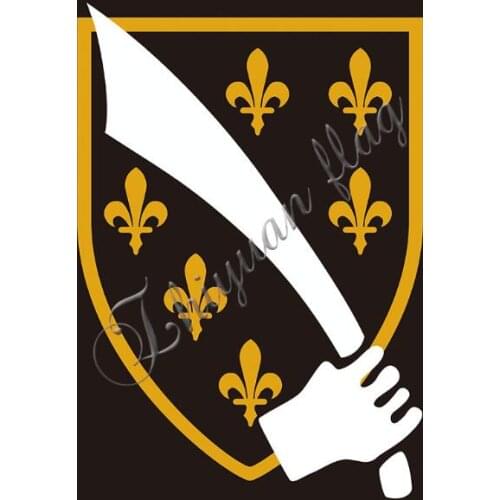 Bosnia historic french flag 120X120cm (3x5FT) 120g 100D polyester High quality custom Banner