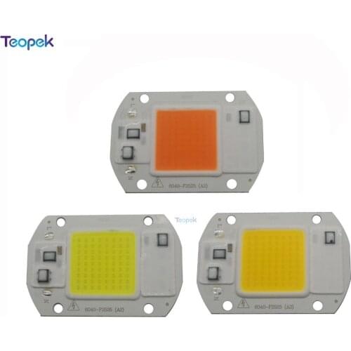 AC 110V 220V 20W 30W 50WLED Bulb Chip Smart IC Energy Saving Outdoor Lamp White Warm White Full Spectrum Colors COB Spotlight