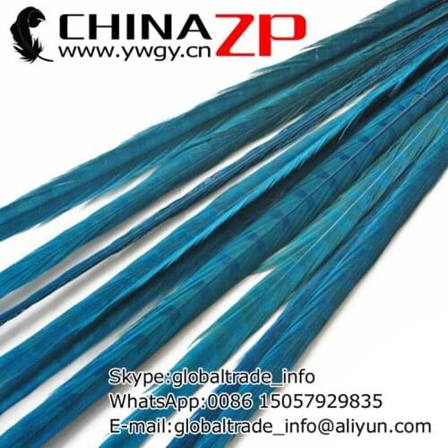 CHINAZP Factory 100pcs/lot Size from 20inch to 22inch(50-55cm) Dyed Turquoise Ringneck Pheasant Tail Feathers