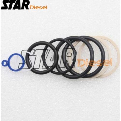 Star Diesel Common Rail Injector Repair Kits S0055 Repair kits Diesel Auto Fuel Injector Parts For CAT C7 C9
