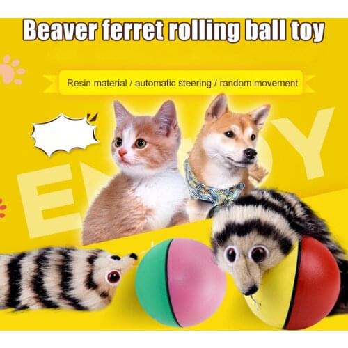 Elenxs Toys For Cats