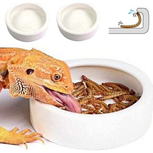 BOUSSAC Reptile Products