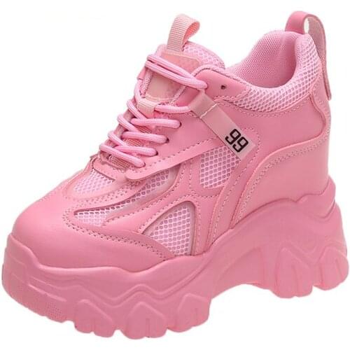 Chunky Sneakers Women New 2022 Autumn High Platform Mesh Dad Shoes Women Casual Trainer Sneakers Thick Sole Vulcanize Shoes 10cm