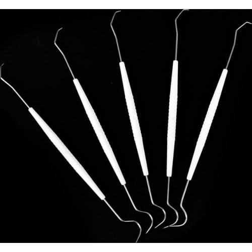 10pcs Double Ends Dental Explorer Instrument Dentist Teeth Clean Hygiene Explorer Probe hook Pick Stainless Steel Dental Tool