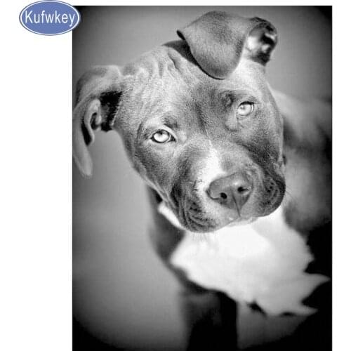 100% Black White dog diamond painting full drill square Bulldog Diamond Embroidery Animal Pitbull Dogs Rhinestone Mosaic gift