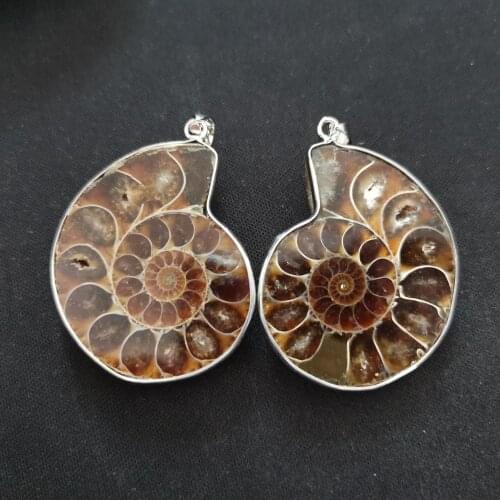 Wholesale 10pcs/lot fashion100% Natural Stone Ammonite Snail shell Fossils pendants for jewelry Accessories making free shipping