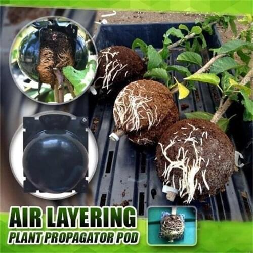 Instant Plant Root Growing Box Plant Rooting Ball Grafting Breeding Case Plant Rooting Device High Pressure Box for Garden