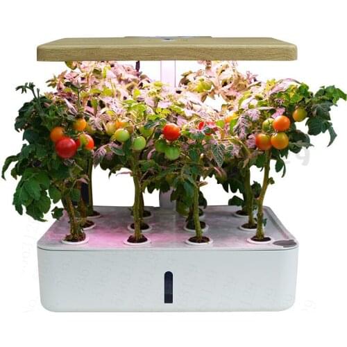 Desk Lamp Hydroponic Indoor Herb Garden Kit Smart Multi-Function Growing Led Lamp for Flower Vegetable Plant Growth Light