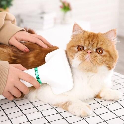 Pet Dog 2-In-1 Portable Dryer Dog Hair Dryer And Comb Brush Pet Cat Hair Comb Dog Hair Blower Low Noise SSwell