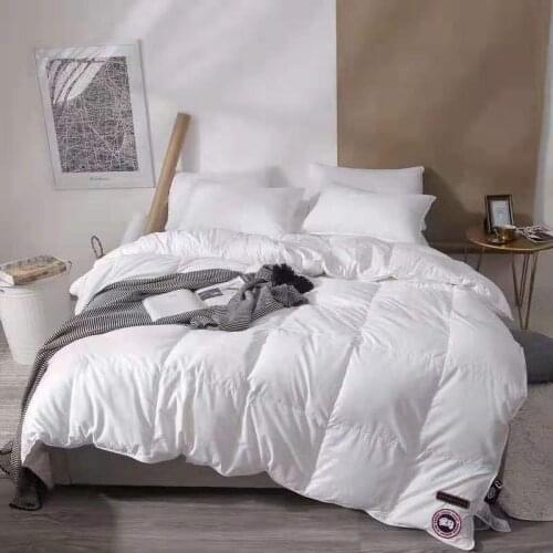 Polyester Quilt Duvets Thickening Winter Comforters 100% Cotton Cover King Queen Twin Full Size