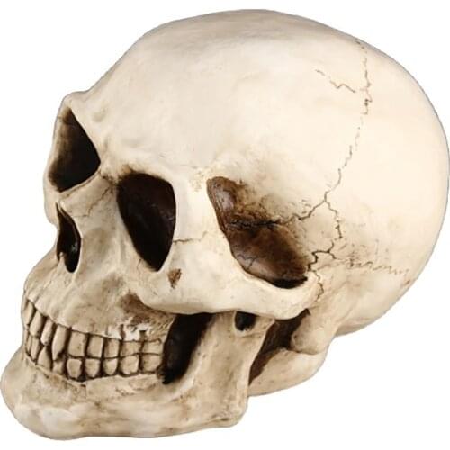 Skull Large Piggy Bank Creative European Retro Piggy Bank for Paper Money Cash Coin Box Money Bank American Birthday Gift FP089