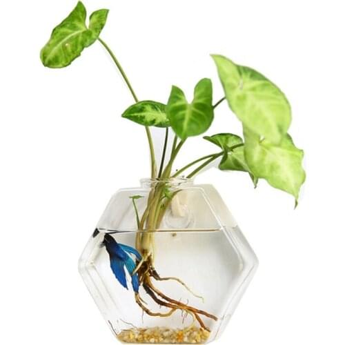Hexagon Shape Wall Hanging Plant Terrarium Geometric Glass Planter Transparent Vase DIY Bottle Flower Pot for Home Office