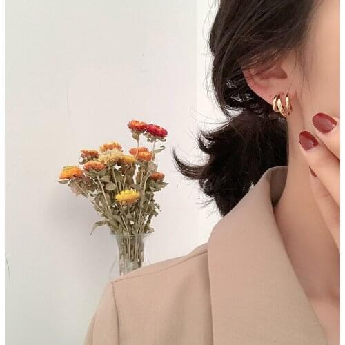2020 Ins Hot Sale Metal Hoops Womens Stud Earrings Vintage Simple Style Gold Silver Color Korean Fashion Women Jewelry