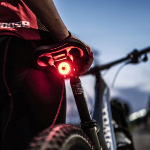 WT003 Auto Brake Sensing Bicycle Rear Light Cycling Smart Taillight USB Charge MTB Night Cycling Lamp Road Bike LED Safety Light