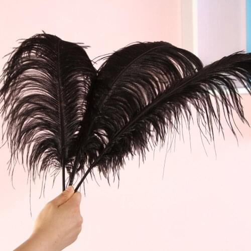 Wholesale Hard Rod10Pcs/Lot Natural Black Ostrich Feathers For Craft15-75CM Carnival Costumes Home Wedding Decorative Feathers