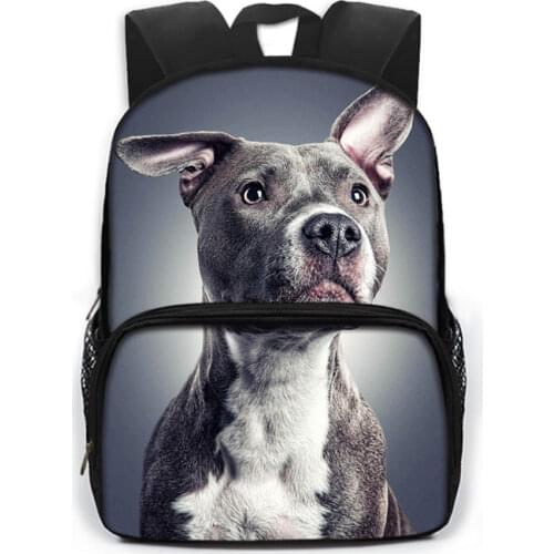 Anime Nana Manga Backpack Oosaki / Komatsu Nana Fashion For Teenagers Storage Bags Student Large Capability Stationery Knapsack