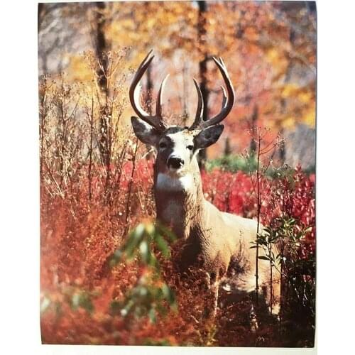 Deer Poster Fall Red Leaves Wonderland Novelty Metal Sign Home Thanksgiving Wall Decoration Man Cave 8X12 inch