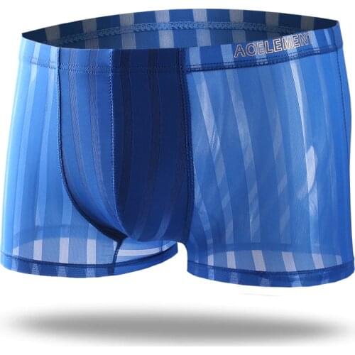 Sexy Gay Underwear Mens Boxers Shorts Homme Ultra Thin Transparent Ice Silk Underpants Male Panties Summer Cool Penis Plus Size