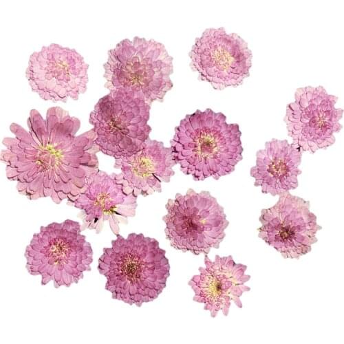 10pcs DIY Pressed Dired Flower Leaves for Bookmark Card Making Decoration Wedding Card Party Handmade DIY Crafts