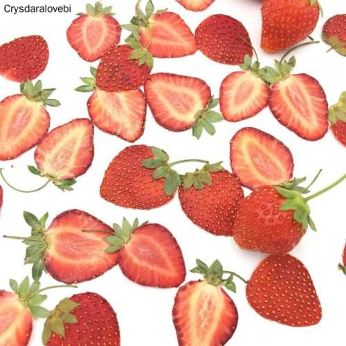 10pcs Dried Pressed Mini Fruit Strawberry Skin Slices Plant Herbarium For Jewelry Photo Frame Phone Case Bookmark Postcard DIY
